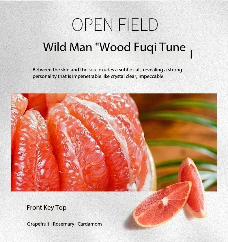 100ML Brand Men's Elixir Inspired Perfume-Amber Fougere & Spicy Woody Fragrance, Long Lasting Sexy Scent for Attracting woman